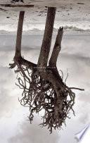 libro Disenso
