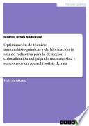 libro Optimización De Técnicas Inmunohistoquímicas Y De Hibridación In Situ No Radiactiva Para La Detección Y Colocalización Del Péptido...