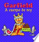 libro Garfield