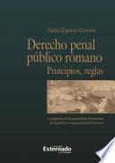 libro Derecho Penal Público Romano. Principios Y Reglas