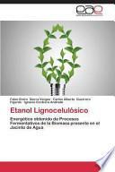 libro Etanol Lignocelulósico