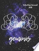 libro Geminis