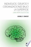 libro Individuos, Grupos Y Organizaciones Bajo La Superficie
