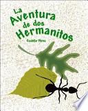 libro La Aventura De Dos Hermanitos