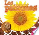 libro Los Patrones (patterns)