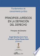 libro Principios Jurídicos En La Definición Del Derecho. Principios Del Derecho Iii