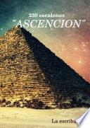 libro 230 Escalones  Ascencion