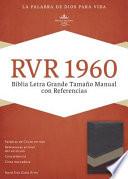 libro Santa Biblia