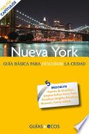 libro Nueva York. Brooklyn
